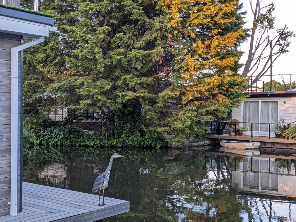 Hampton Hill Tulana Taggs - Floating Home On Idyllic Island מראה חיצוני תמונה